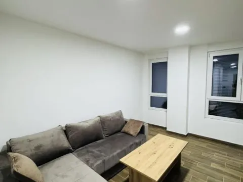 Izdavanje, jednosoban stan, 50m², Palilula, Niš - image 3