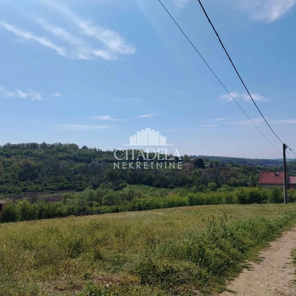 Pogled na zeleni pejzaž i šumu sa lokacije.