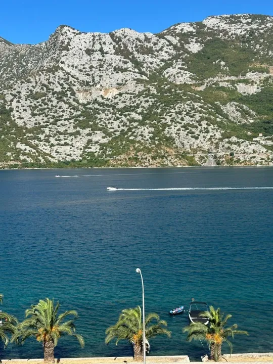 Izdavanje, jednosoban stan, 50m², Risan, Kotor