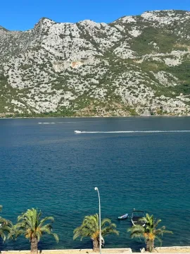 Stan in Risan