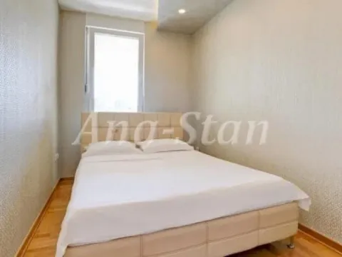 Izdavanje, dvosoban stan, 55m², Savski Venac, Beograd - image 6