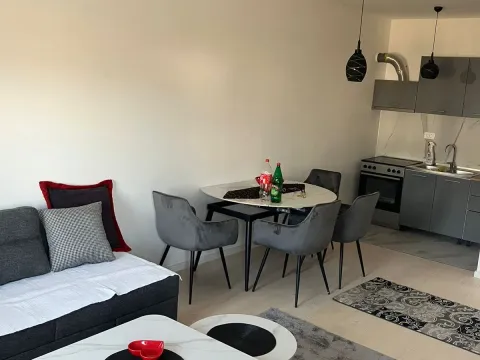 Izdavanje, jednosoban stan, 43m², Zabjelo, Podgorica - image 2