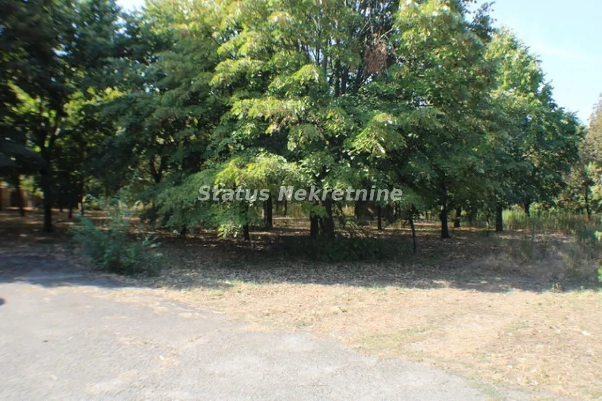 Rent, office space, 590m², Temerin, Novi Sad