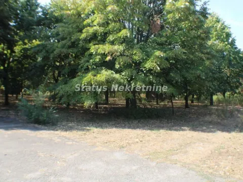 Izdavanje, poslovni prostor, 590m², Temerin, Novi Sad - image 8