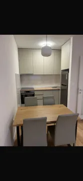 Izdavanje, jednosoban stan, 43m², Central Point, Podgorica - image 15