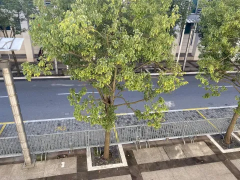 An elevated view of the street and trees in front of the building. - image 2