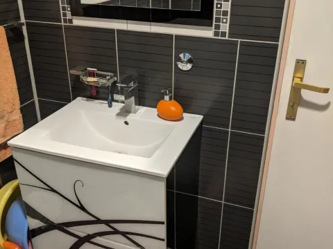 Prodaja, kuća, 274m², Tavrića obori, Jagodina - image 9