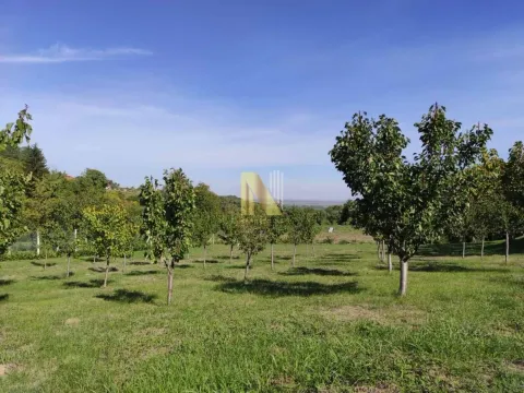Prodaja, kuća, 60m², Sremski Karlovci, Novi Sad - image 11