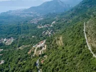 Prodaja, plac, 13300m², Kavač, Kotor - image 2