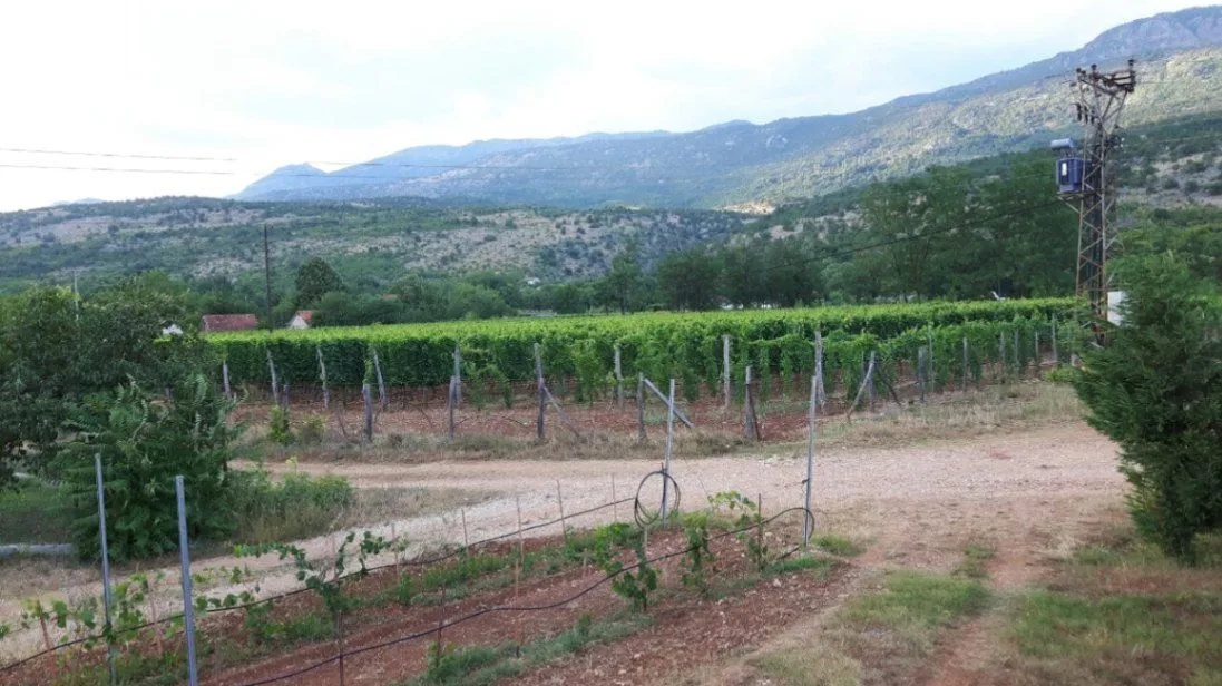 Prodaja, plac, 8924m², Jelenak, Danilovgrad