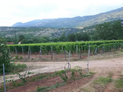 Prodaja, plac, 8924m², Jelenak, Danilovgrad - image 4