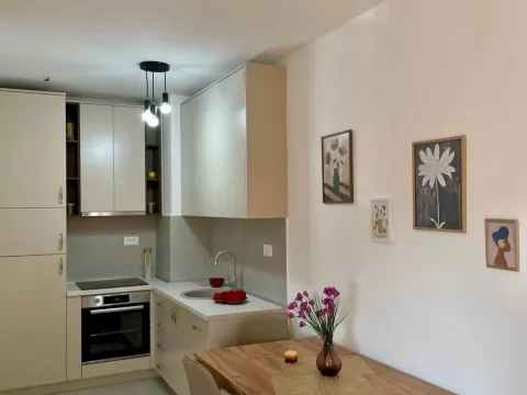 Rent, one bedroom apartment, 47m², Stari Aerodrom, Podgorica - image 2