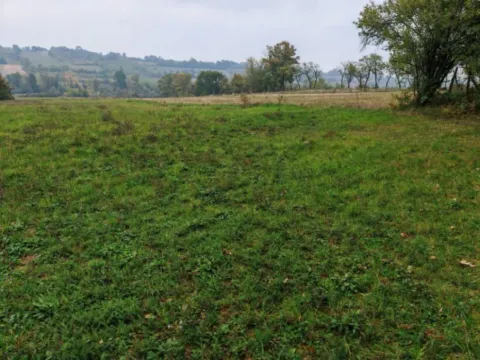 Prodaja, plac, 33900m², Velika Ivanča, Mladenovac - image 13