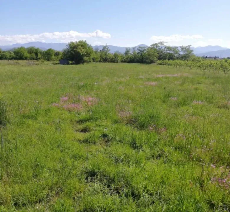 Prodaja, plac, 500m², Podgorica, Crna Gora