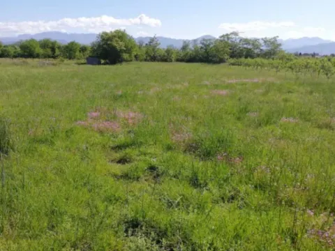 Prodaja, plac, 500m², Podgorica, Crna Gora - image 1