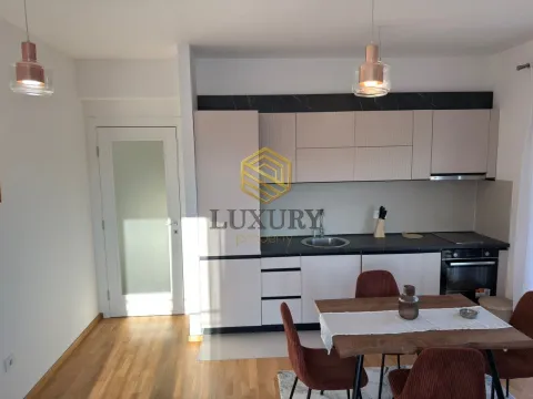 Rent, two bedroom apartment, 65m², Stari Aerodrom, Podgorica - image 2