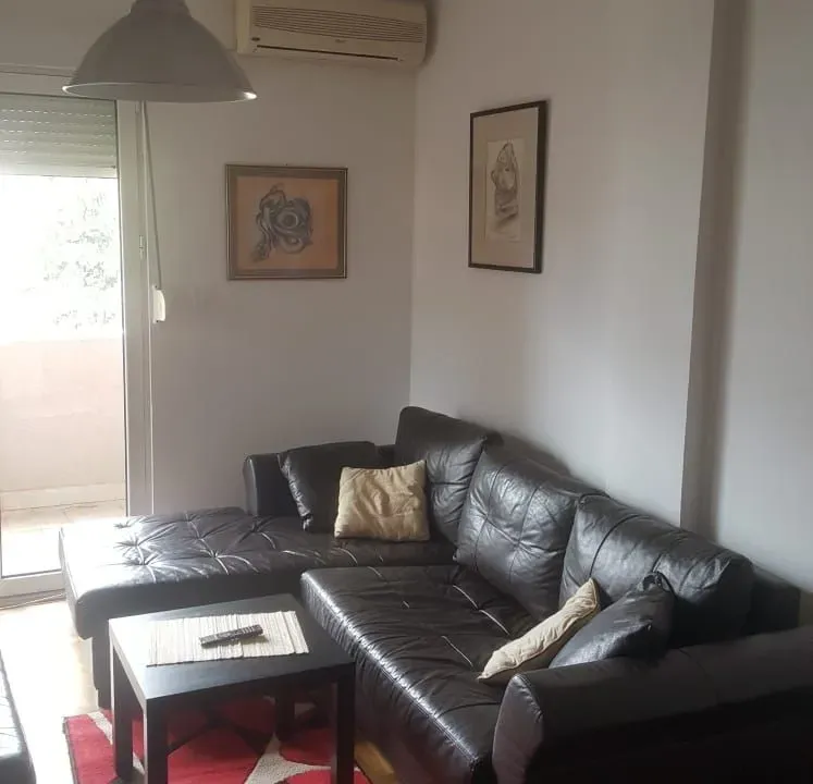 Izdavanje, jednosoban stan, 53m², Podgorica, Crna Gora