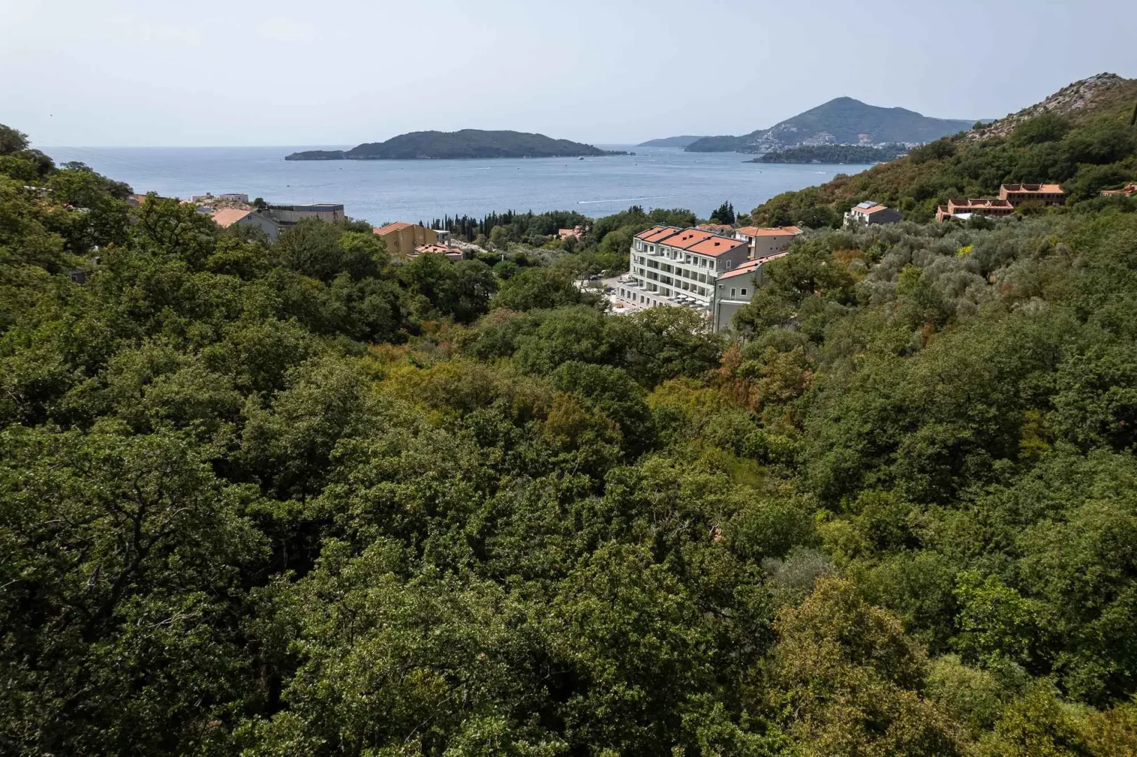Pogled iz ptičje perspektive na zelenu šumu, zgrade i morsku obalu u daljini.