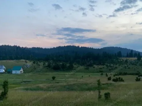 Prodaja, plac, 15531m², Krš, Žabljak - image 1