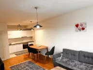 Izdavanje, jednosoban stan, 53m², Central Point, Podgorica - image 3