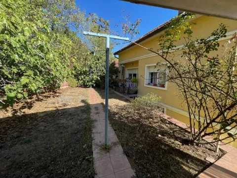 Pogled na dvorište i fasadu kuće sa uređenom stazom. - image 9