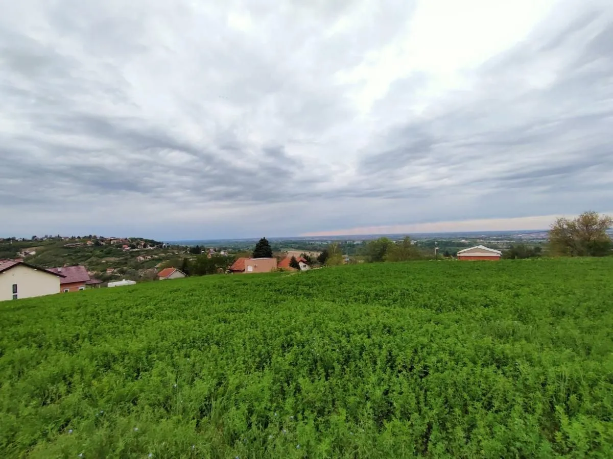 Prodaja, plac, 1100m², Beočin, Srbija
