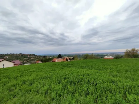 Prodaja, plac, 1100m², Beočin, Srbija - image 4