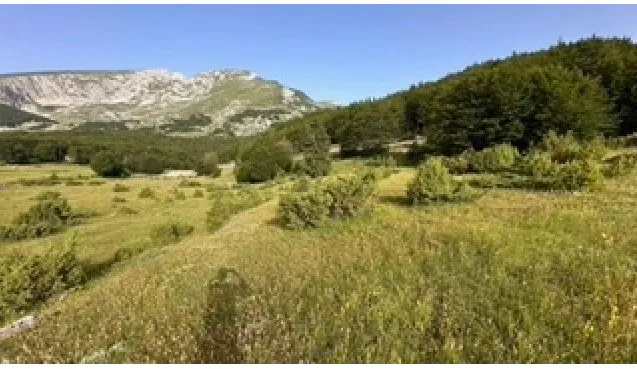 Sale, land lot, 800m², Motički gaj, Žabljak