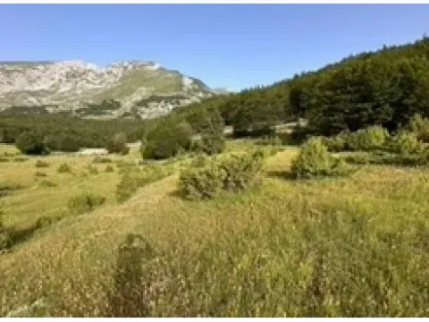 Zemljište in Motički gaj