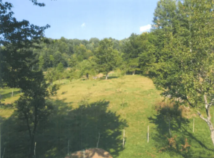 Sale, land lot, 10000m², Drpe, Kolašin