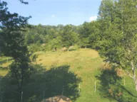 Prodaja, plac, 10000m², Drpe, Kolašin - image 1