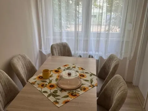 Prodaja, dvosoban stan, 54m², Rotkvarija, Novi Sad Sve Podlokacije - image 4