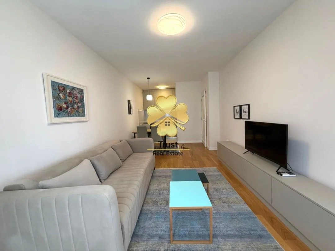 Rent, one bedroom apartment, 50m², Central Point, Podgorica