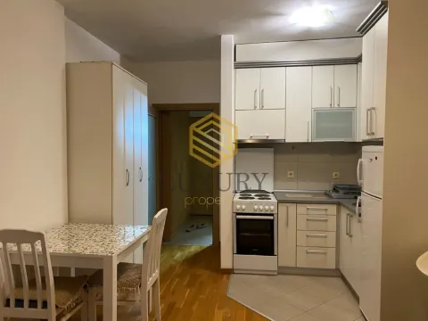 Rent, studio apartment, 30m², Tuški Put, Podgorica - image 2