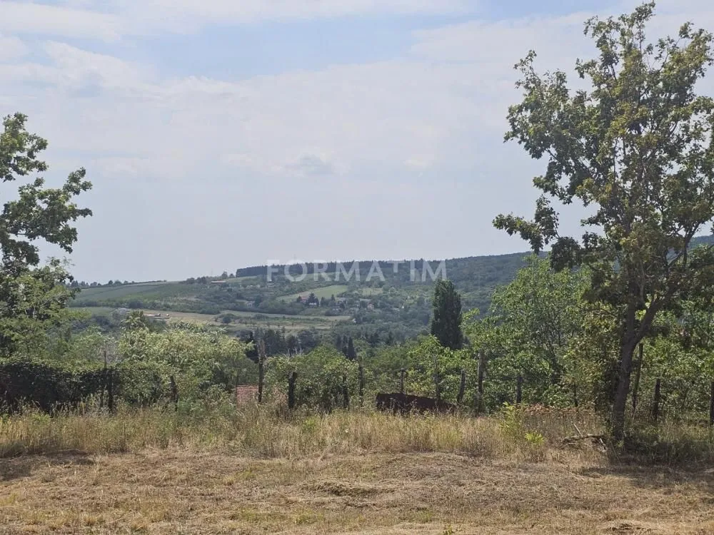 Prodaja, plac, 7200m², Sremski Karlovci, Novi Sad