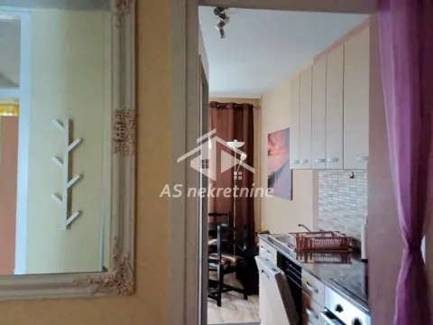 Izdavanje, dvosoban stan, 58m², Crveni Krst, Beograd - image 7