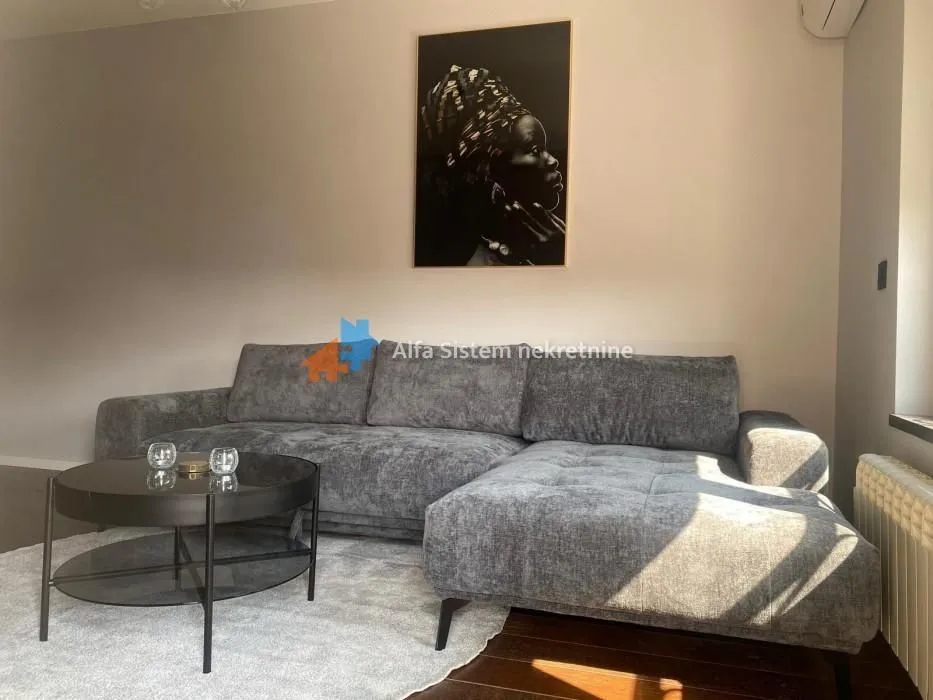 Izdavanje, dvosoban stan, 52m², Palilula Sve Podlokacije, Beograd