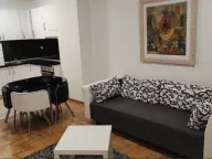 Izdavanje, jednosoban stan, 47m², Tološka šuma, Podgorica - image 1