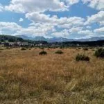 Prodaja, plac, 35832m², Žabljak, Crna Gora - image 4