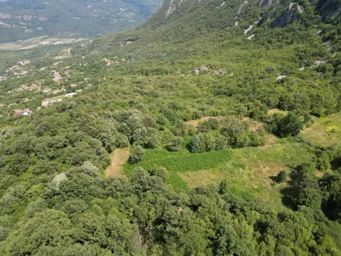 Sale, land lot, 49000m², Virpazar, Bar - image 3