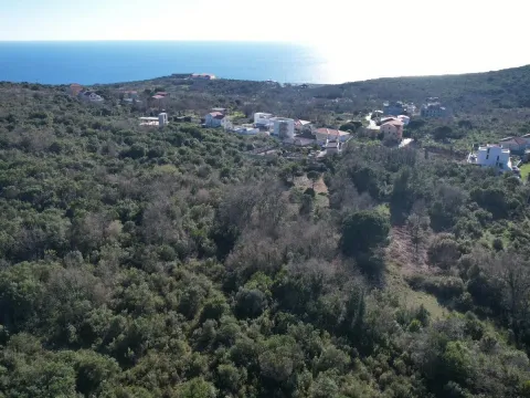 Prodaja, plac, 2450m², Krimovica, Kotor - image 7