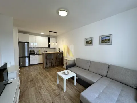 Izdavanje, dvosoban stan, 42m², Petrovaradin, Novi Sad - image 2