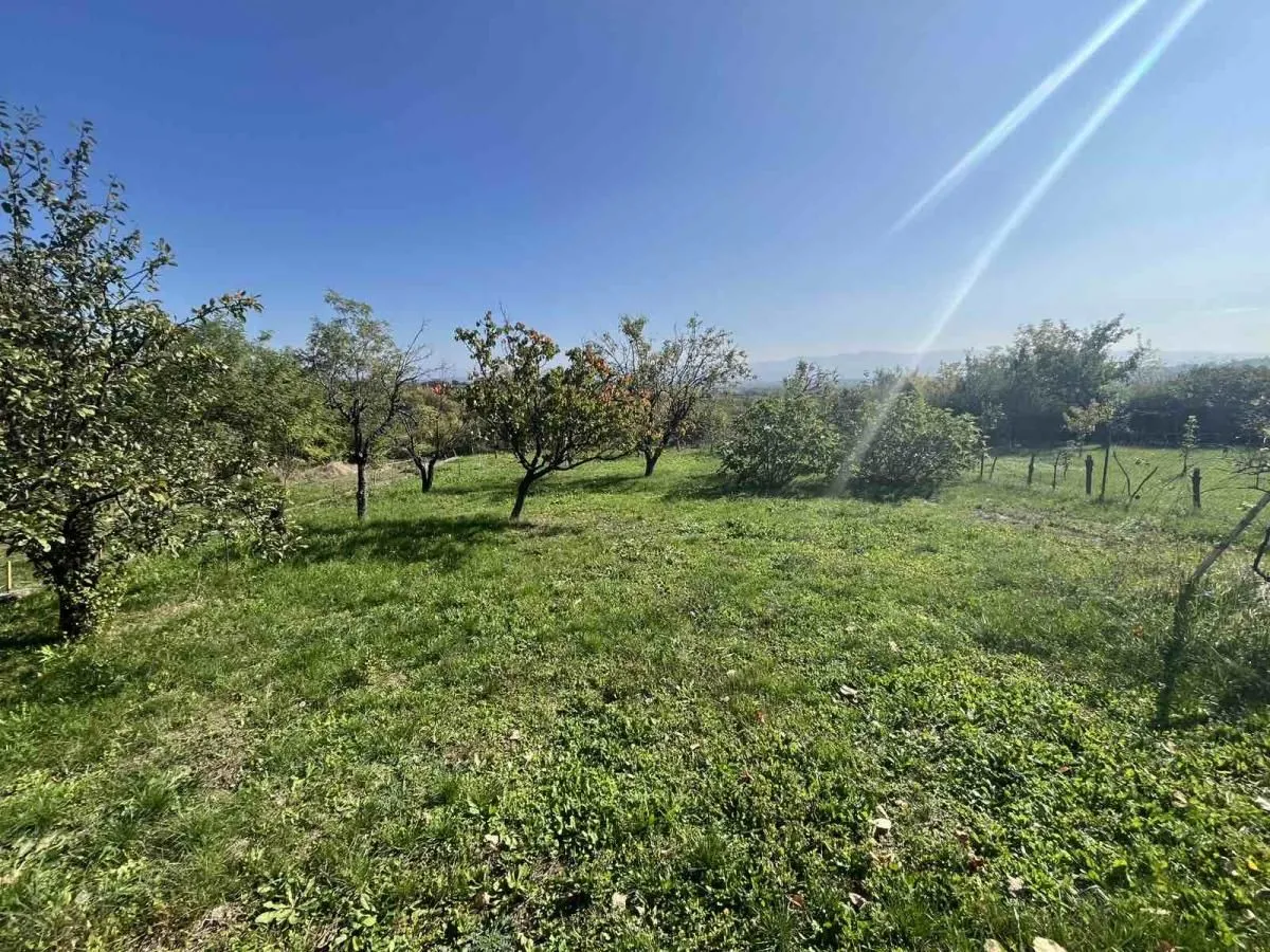 Prodaja, kuća, 95m², Siokovac, Jagodina