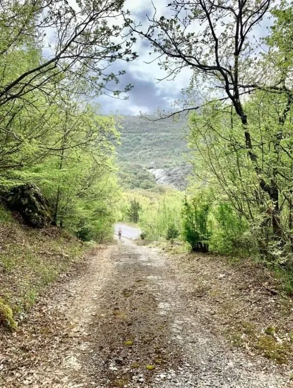 Prodaja, plac, 12000m², Centar, Bar