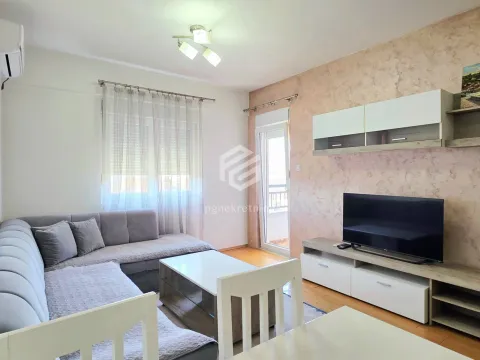 Izdavanje, jednosoban stan, 46m², Stari Aerodrom, Podgorica - image 2