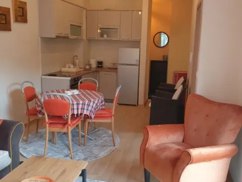 Rent, one bedroom apartment, 42m², Bijeli Do, Budva - image 6