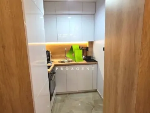 Rent, one bedroom apartment, 45m², Ledena Stena, Niš - image 4