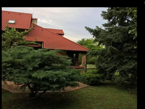 Sale, house, 250m², Vrbas, Novi Sad - image 11