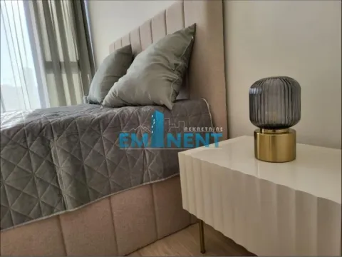 Izdavanje, dvosoban stan, 53m², Savski Venac, Beograd - image 7