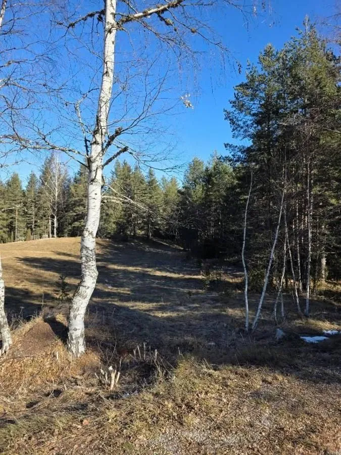 Prodaja, plac, 50000m², Borje, Žabljak